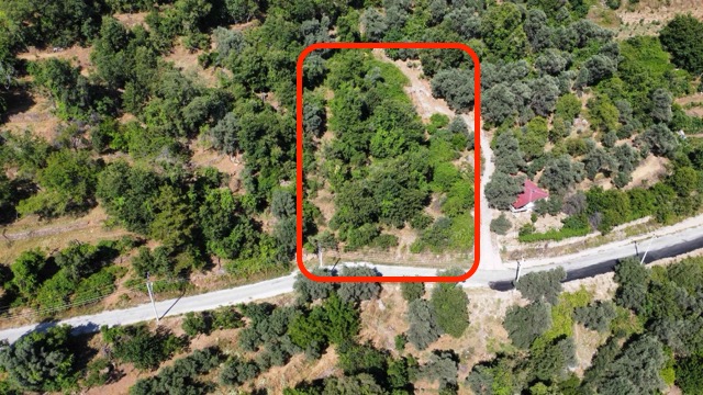 Stor och exklusiv tomt till salu i Mahmutseydi, Alanya