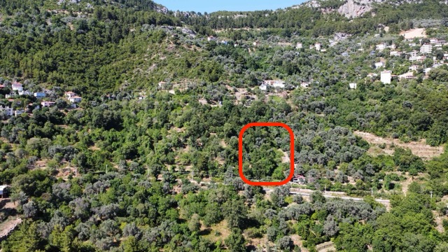 Stor och exklusiv tomt till salu i Mahmutseydi, Alanya